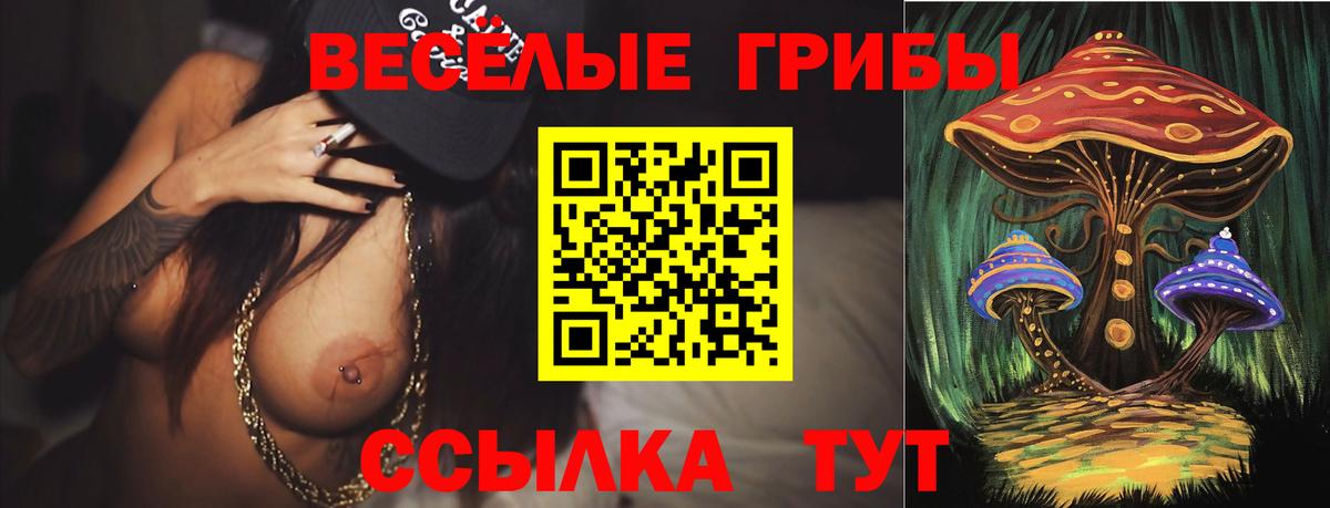 где купить   Вход с VPN  Рассказово  Псилоцибиновые грибы MAGIC MUSHROOMS 